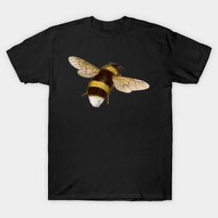 A Little Buzzy Bee T-Shirt